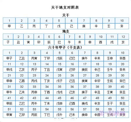 2024年天干地支